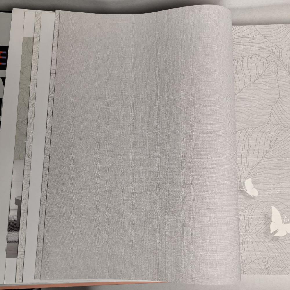 Andrea Rossi Berggi 54452-6