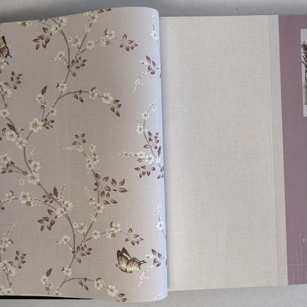 Andrea Rossi Spectrum Box 54459-10