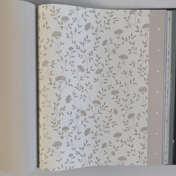 Andrea Rossi Spectrum Box 54456-2