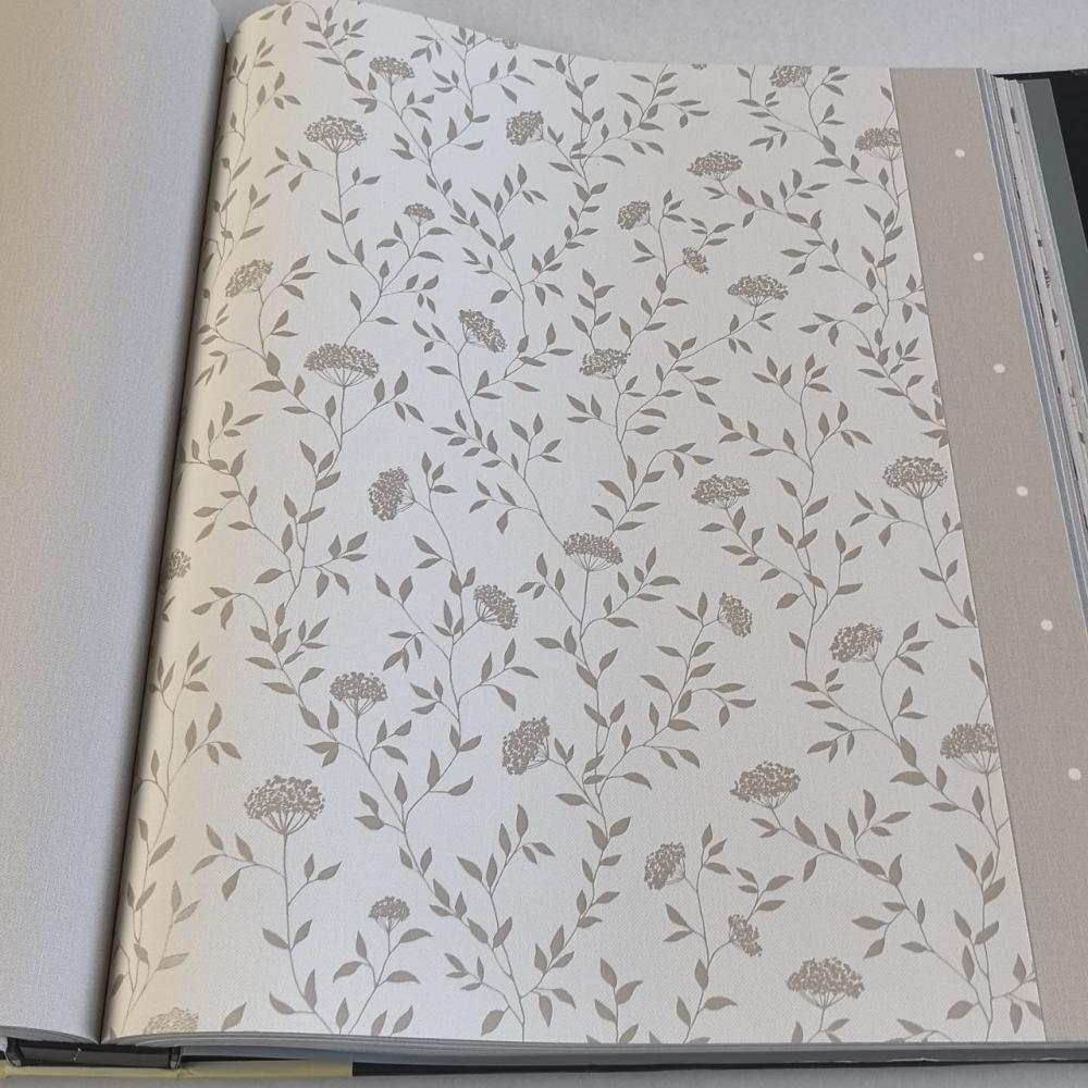 Andrea Rossi Spectrum Box 54456-2