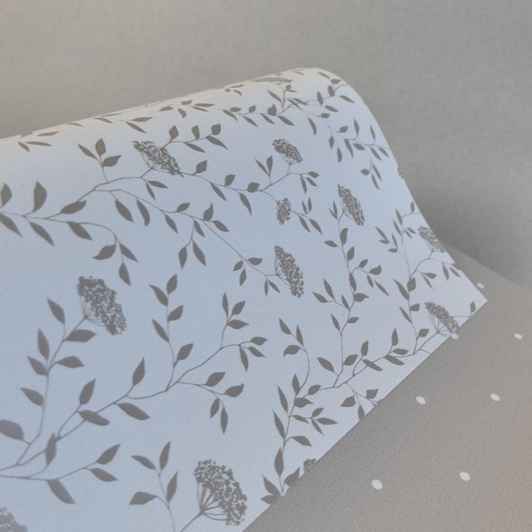 Andrea Rossi Spectrum Box 54456-2