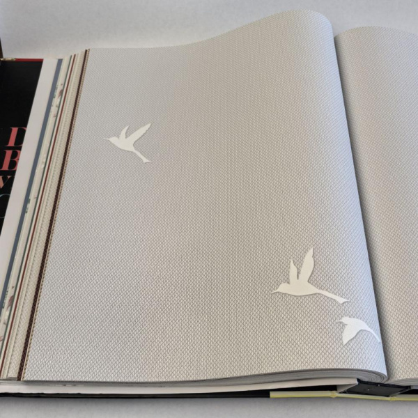 Andrea Rossi Spectrum Box 54458-6 Andrea Rossi Spectrum Box 54458-6