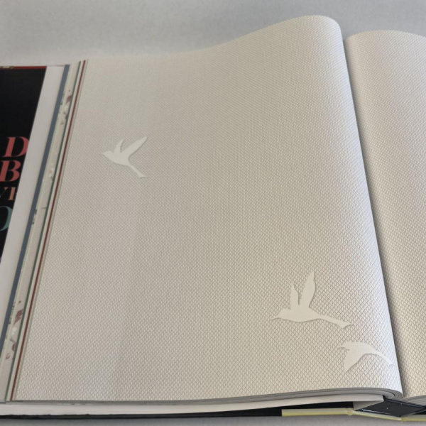 Andrea Rossi Spectrum Box 54458-2 Andrea Rossi Spectrum Box 54458-2