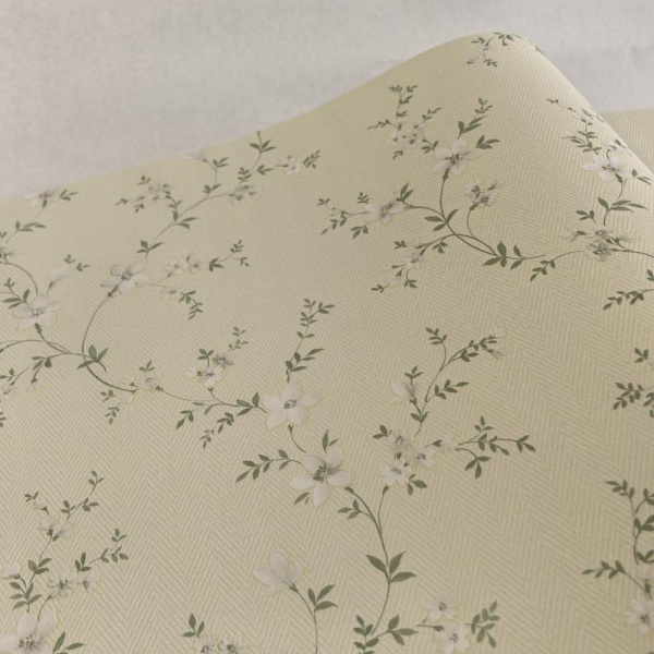 Alessandro Allori Bruni RBN 1001-7