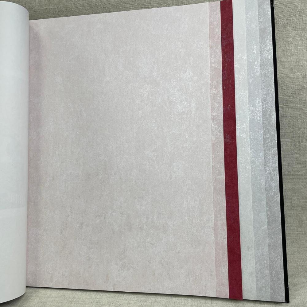 Обои Bernardo Bartalucci Bigi Plus 5089-10