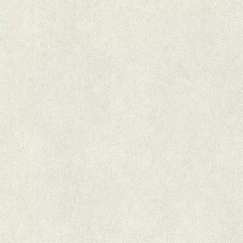 Rasch Wall Textures XL957303