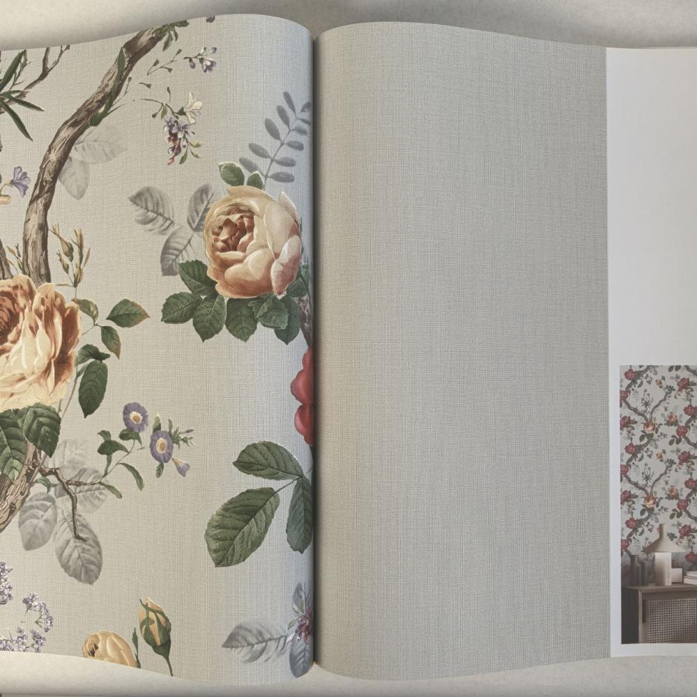 Andrea Rossi Cavolli 54420-10