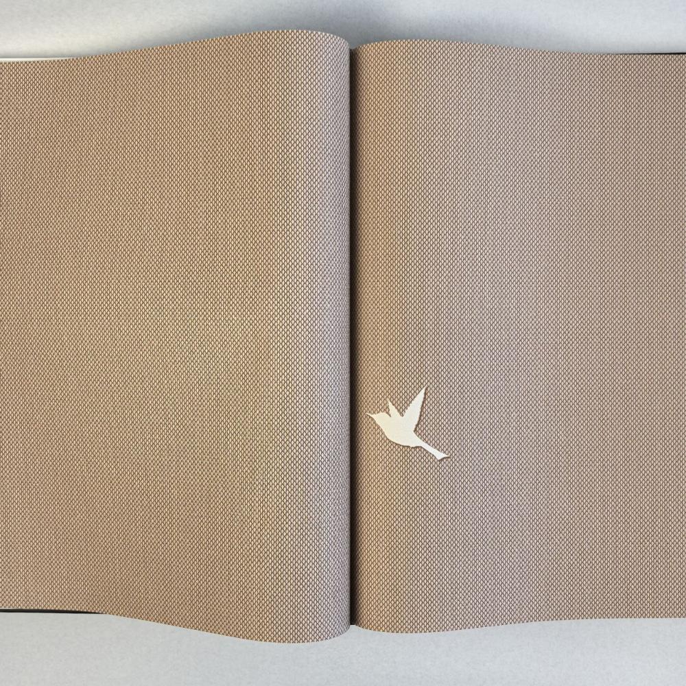 Andrea Rossi Spectrum Box 54458-13